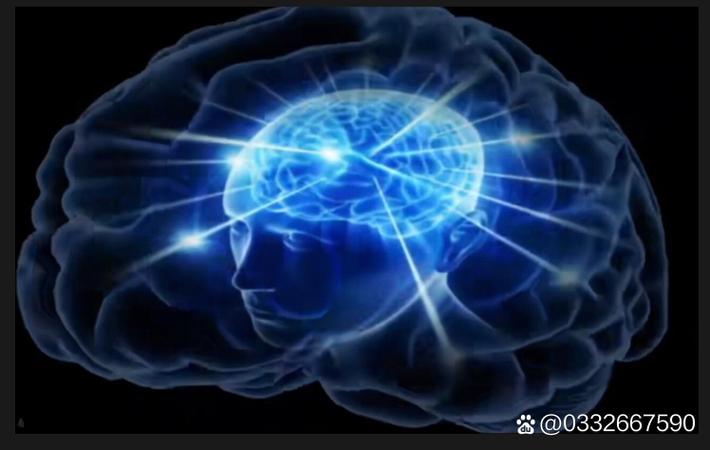 中国偶像产业十年专题配图，选秀到成团发展历程